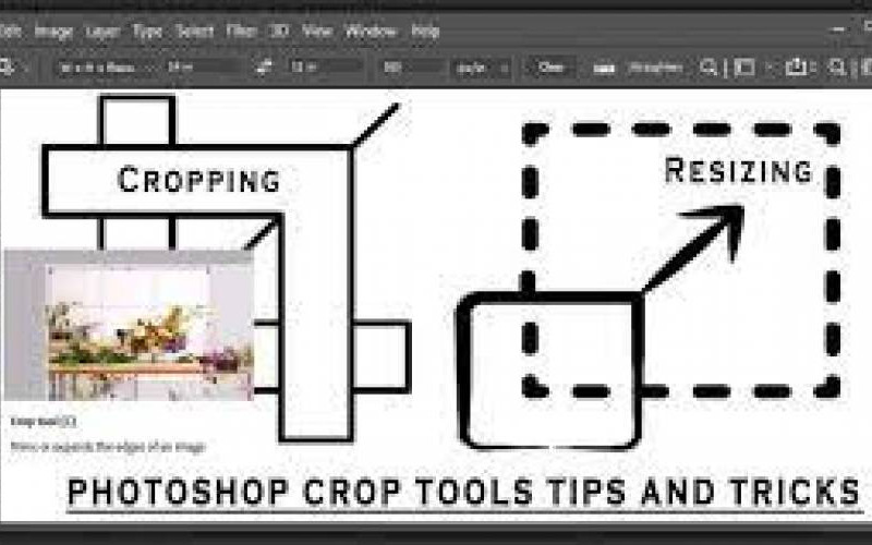 5 Methods to Crop Pictures